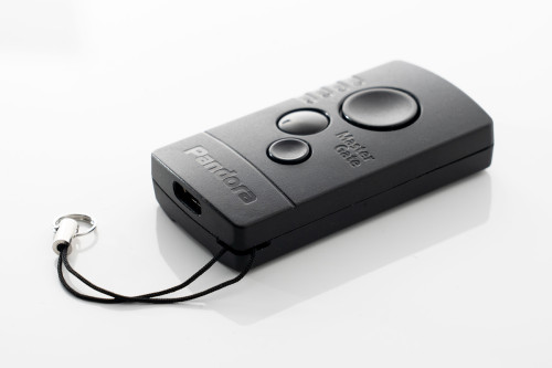 Pandora Master Gate брелок