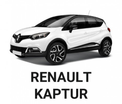 AAALine Renault Kaptur электроподъемник багажника